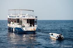 Maldives Emperor Atoll Liveaboard - diving dhoni.